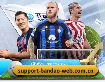 专业体育资讯平台 - BandaoSports
